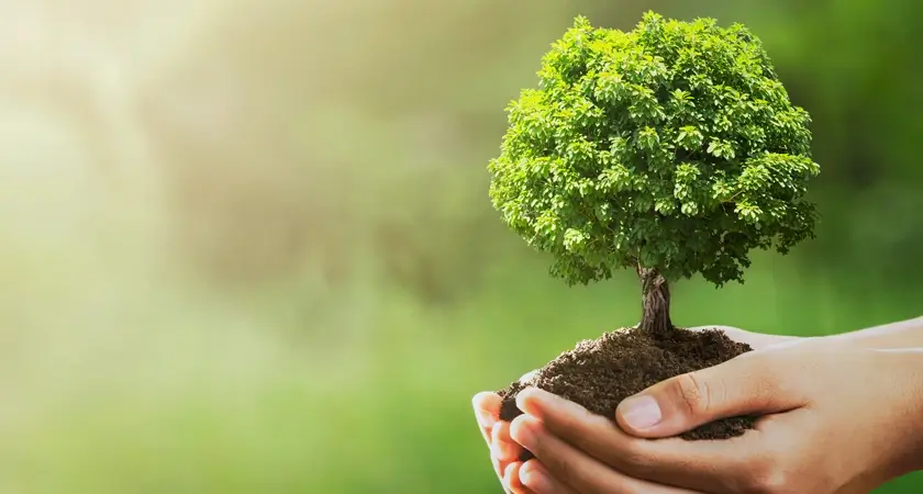Eco-Friendly: Holding Nature in Your Hands