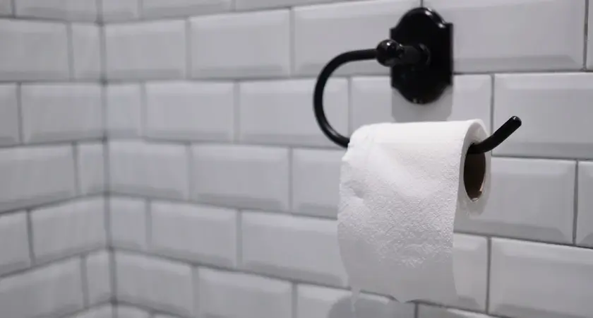 Home Basics Metro Toilet Paper Holder