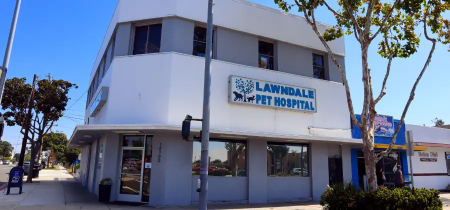 The Lawndale Pet Hospital in Hawthorne, CA