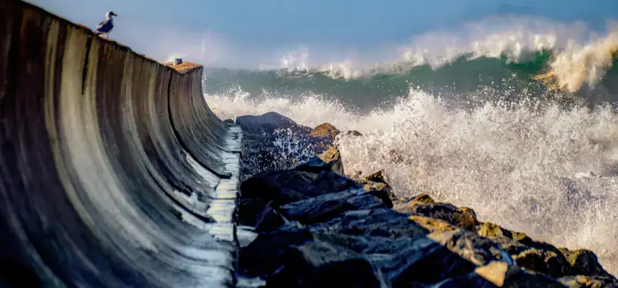 Large wave crashes against rocks beside a curved concrete seawall with a seagull perched on top, under a blue sky.